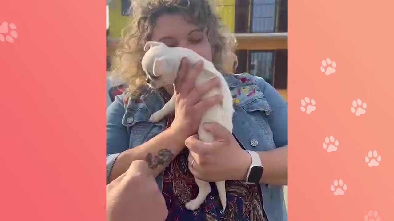 A woman with curly hair holds a tiny white puppy close to her chest.