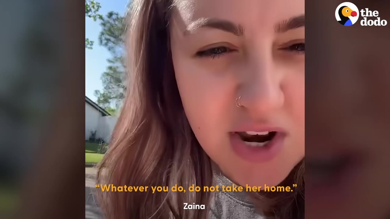 A close-up of a woman speaking with a subtitle that reads, 'Whatever you do, do not take her home.'