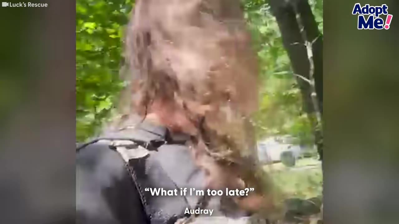 A close-up shot from behind a rescuer named Audray moving through a wooded area, with text overlay reading 'What if I'm too late?'