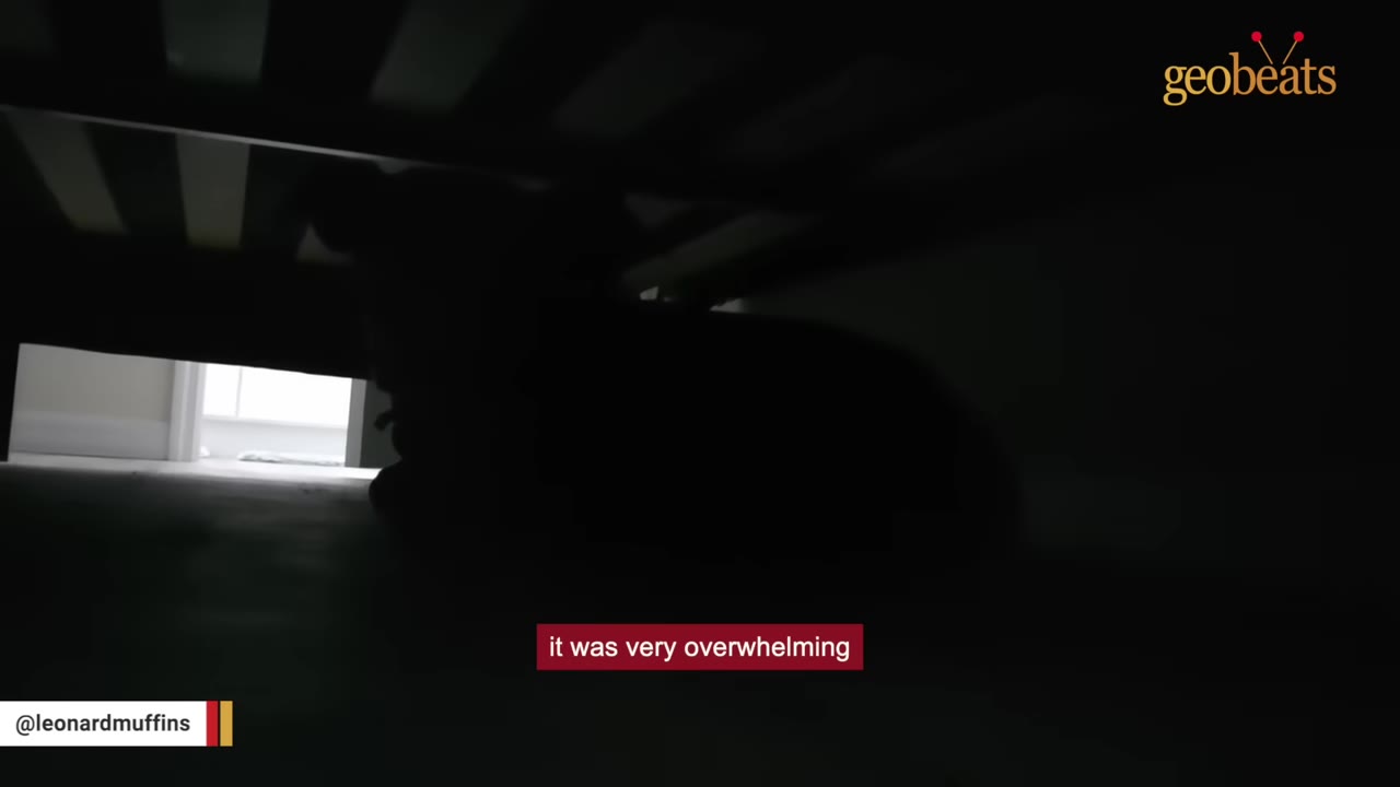 A dark silhouette of a dog lying down under a wooden bed frame on a carpeted floor.
