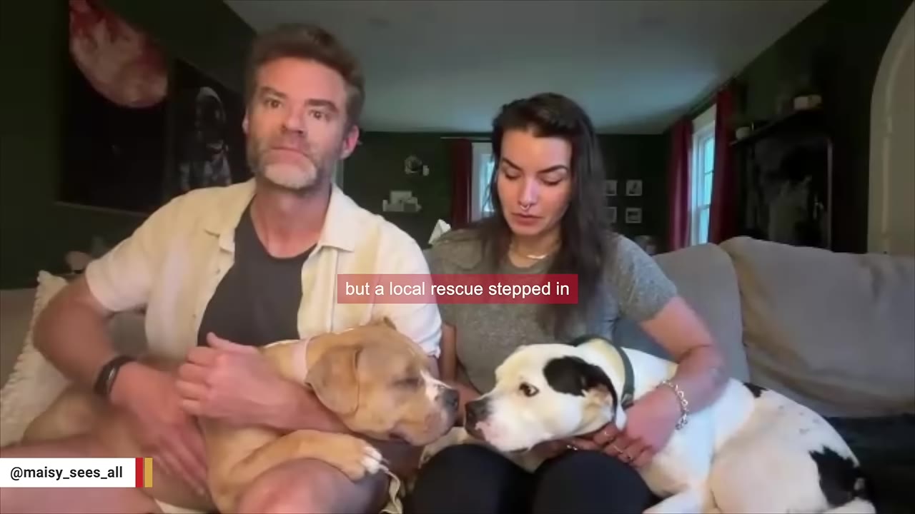 A man and a woman sit on a couch, each holding a dog, with a text overlay that reads 'but a local rescue stepped in'.