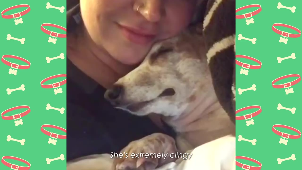 A close-up of a woman smiling gently as a light-colored dog rests its head against her cheek with its eyes closed.