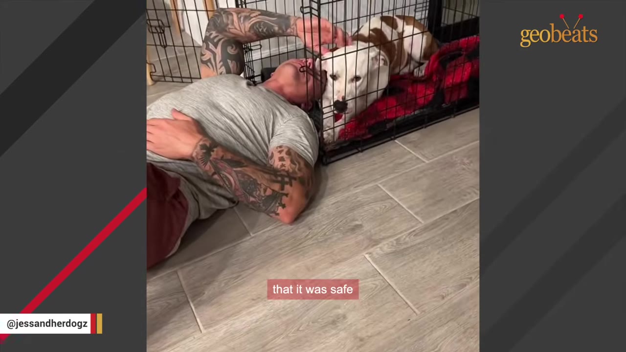 A man with tattooed arms lies on a tiled floor next to a wire dog crate, gently reaching in to comfort a white and brown dog resting inside on a red blanket.