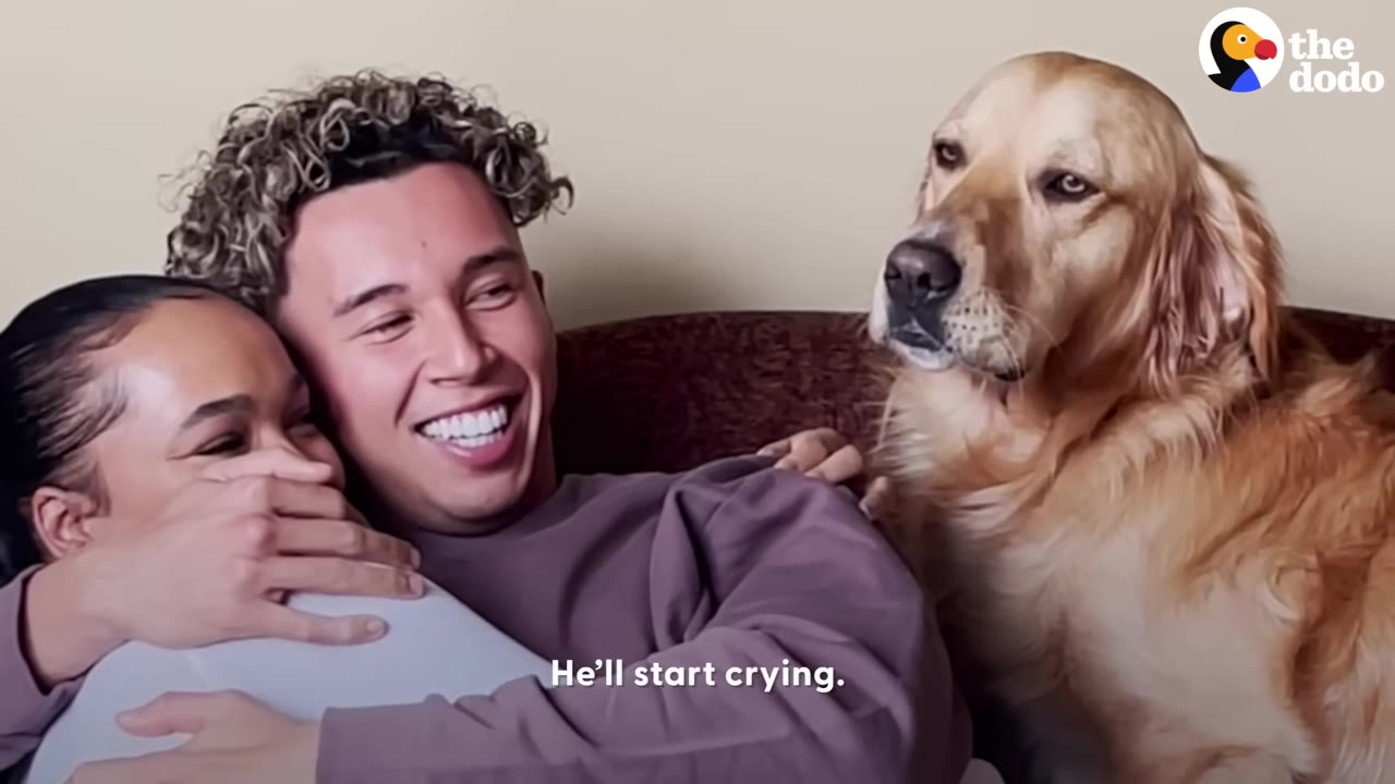 A golden retriever sits on a couch looking displeased as a man with curly hair hugs a woman next to him.