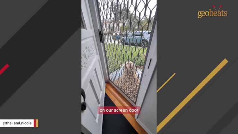 California Family Thought A Package Had Arrived Until They Opened The Door And Saw Who Was Waiting