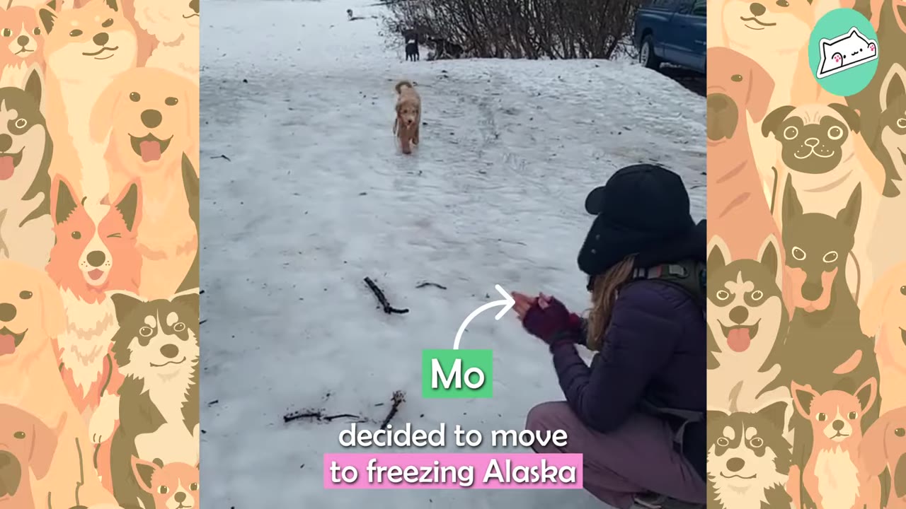 A woman named Mo crouches in a snowy landscape as a small golden puppy runs toward her.