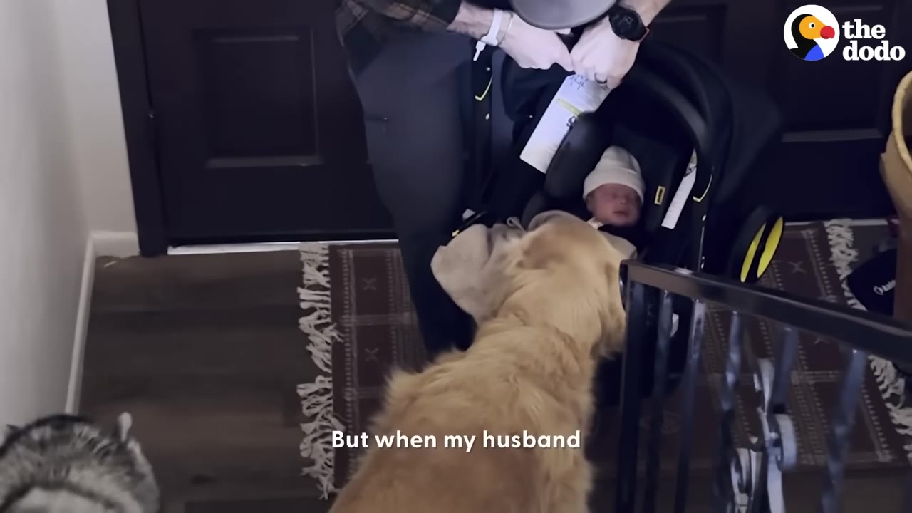 A man stands inside an entryway holding a baby car seat with a newborn inside, as a golden retriever looks up at the baby.