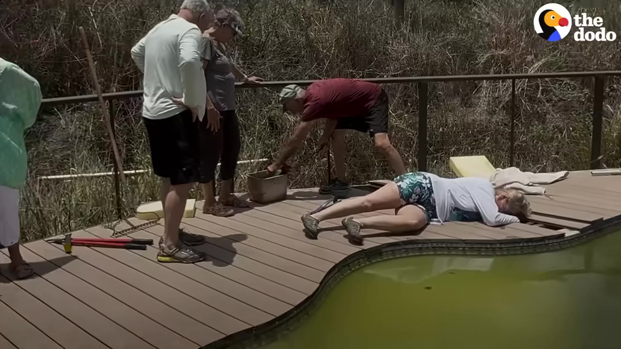 A group of senior citizens gathered on a wooden deck next to a pool, working together to lift a deck board.