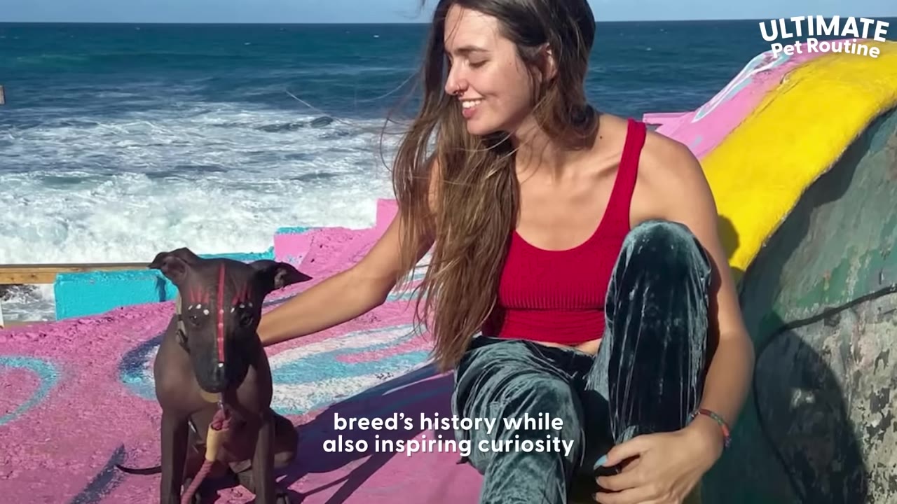 A smiling woman with long brown hair sits next to her hairless dog, which has red and white decorative paint on its face, against a backdrop of ocean waves and colorful painted concrete.