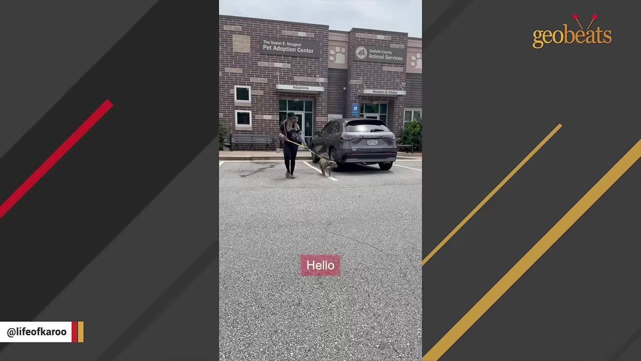 A woman walks a grey dog on a leash in front of the DeKalb County Animal Services and Pet Adoption Center building.