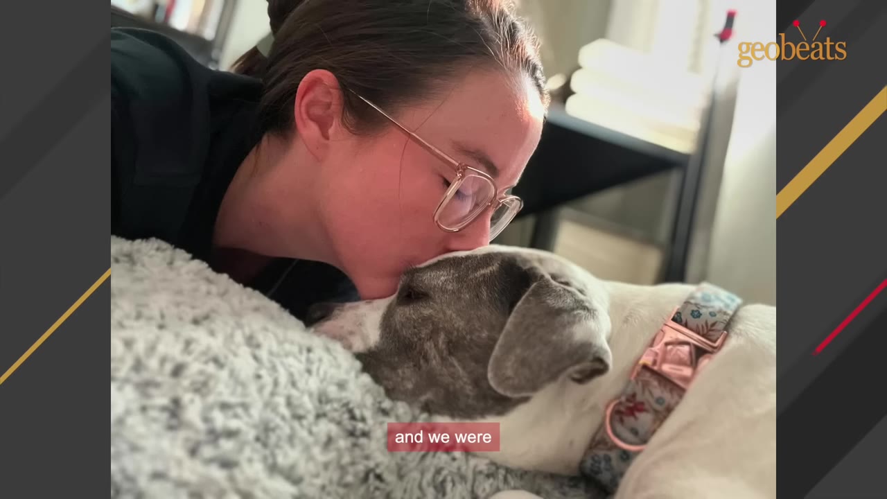 A close-up shot of a woman with glasses kissing a grey and white dog on the head as it lies on a fluffy blanket.