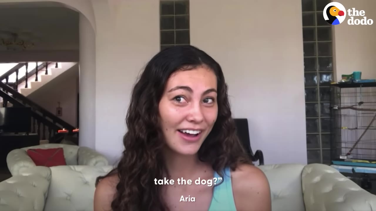 A young woman named Aria with long curly brown hair looks surprised and speaks, with the subtitle 'take the dog?' appearing on screen.