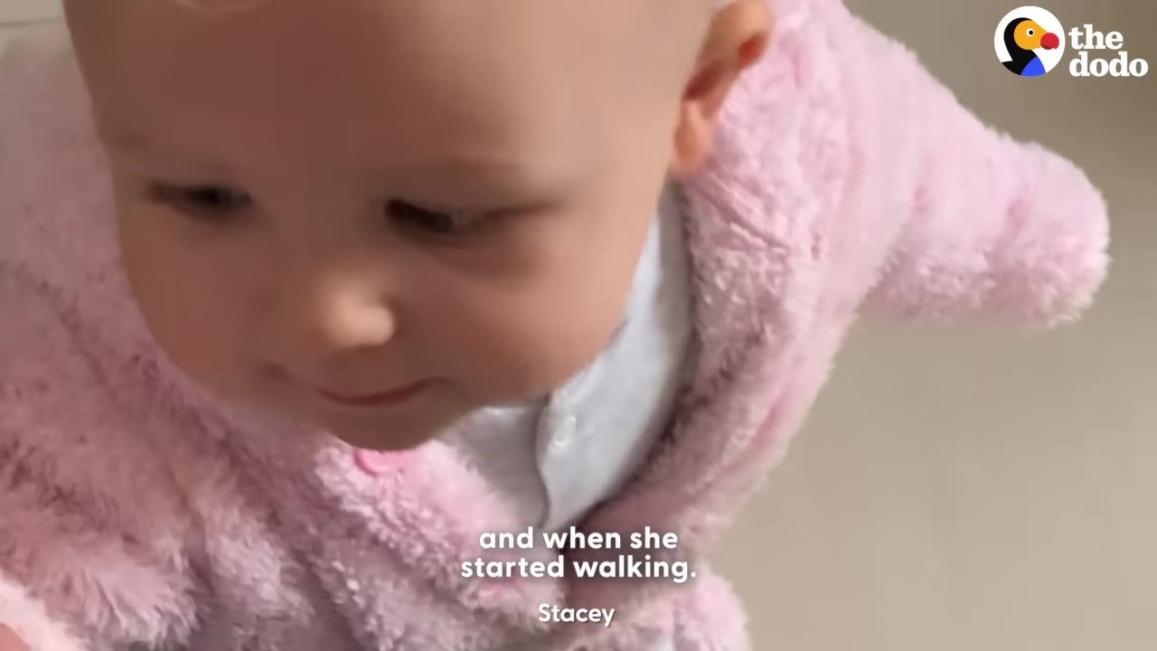 A close-up shot of a baby wearing a pink fuzzy jacket, looking down as she takes steps.