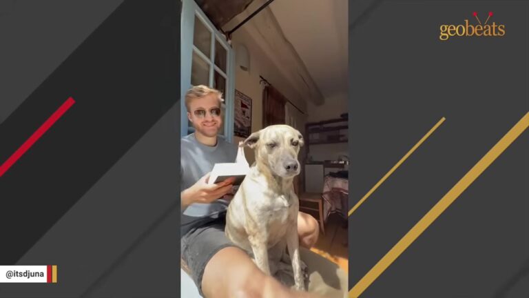 California Woman Nervously Introduces Her Boyfriend To Her Rescue Dog And Gets A Huge Surprise