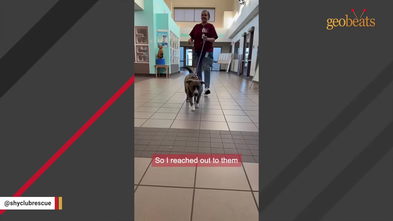 A woman walks a brown and white dog on a leash down a tiled hallway inside a shelter.