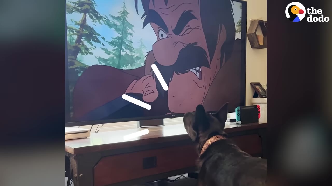 A dark-furred dog wearing a collar sits in front of a television screen, intently watching an animated scene of an angry man with a mustache.