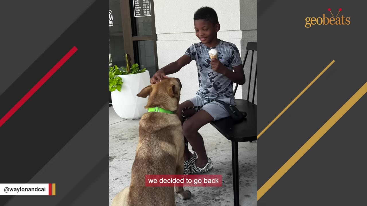 A boy in a camo shirt sitting on a black chair holds an ice cream cone and pets a tan dog wearing a green collar.