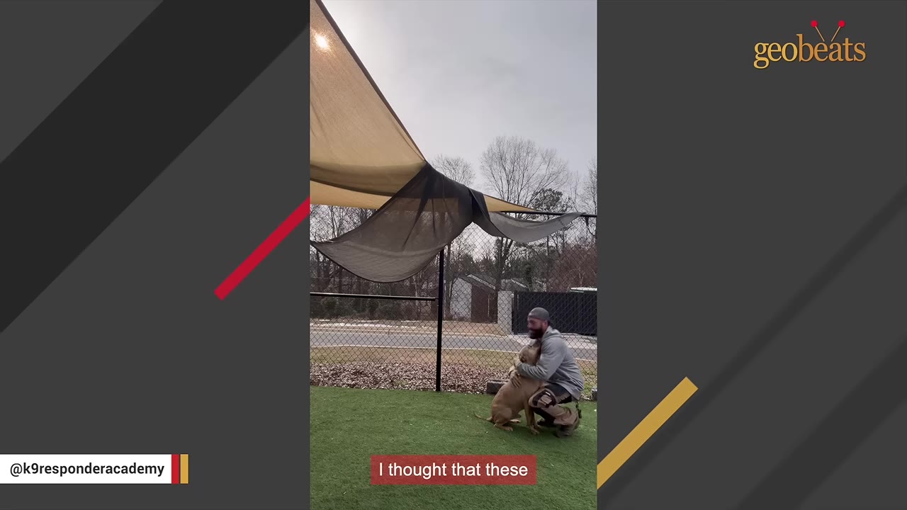 A man crouches on a green lawn in a fenced yard, hugging a tan dog under a shade sail.