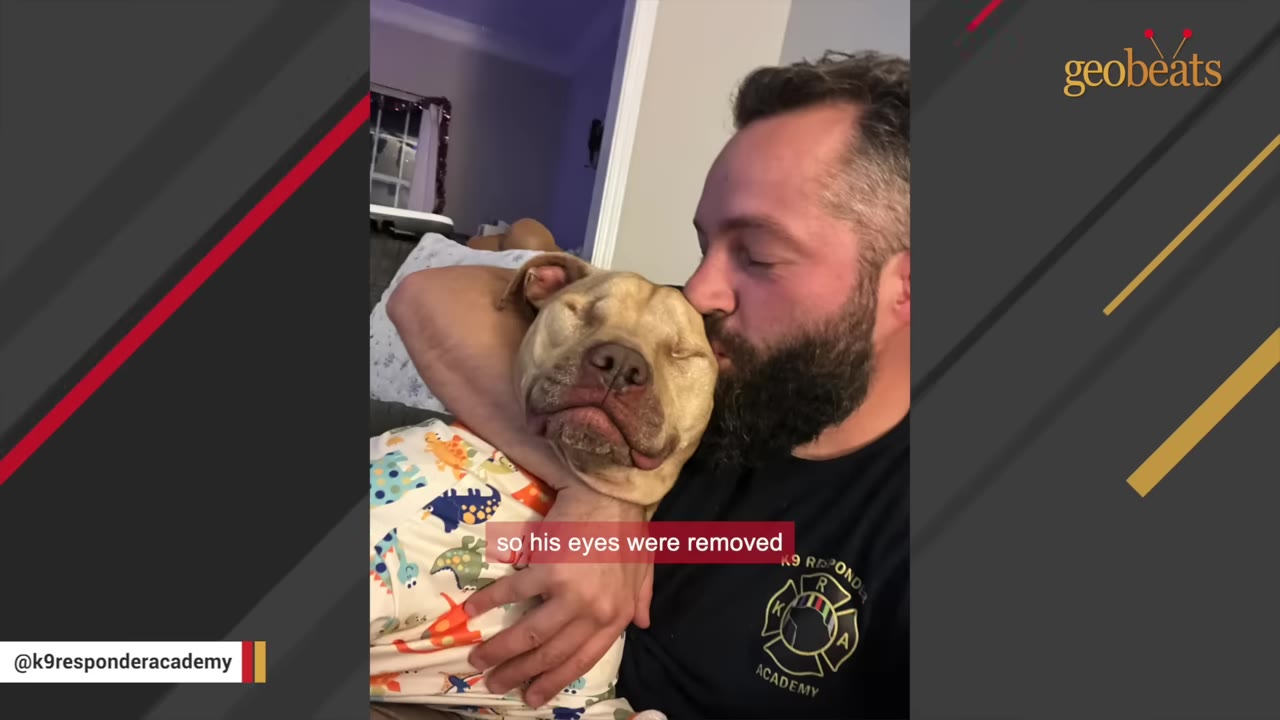 A close-up of a tan dog with closed, healed eye sockets being held and kissed on the head by a bearded man.