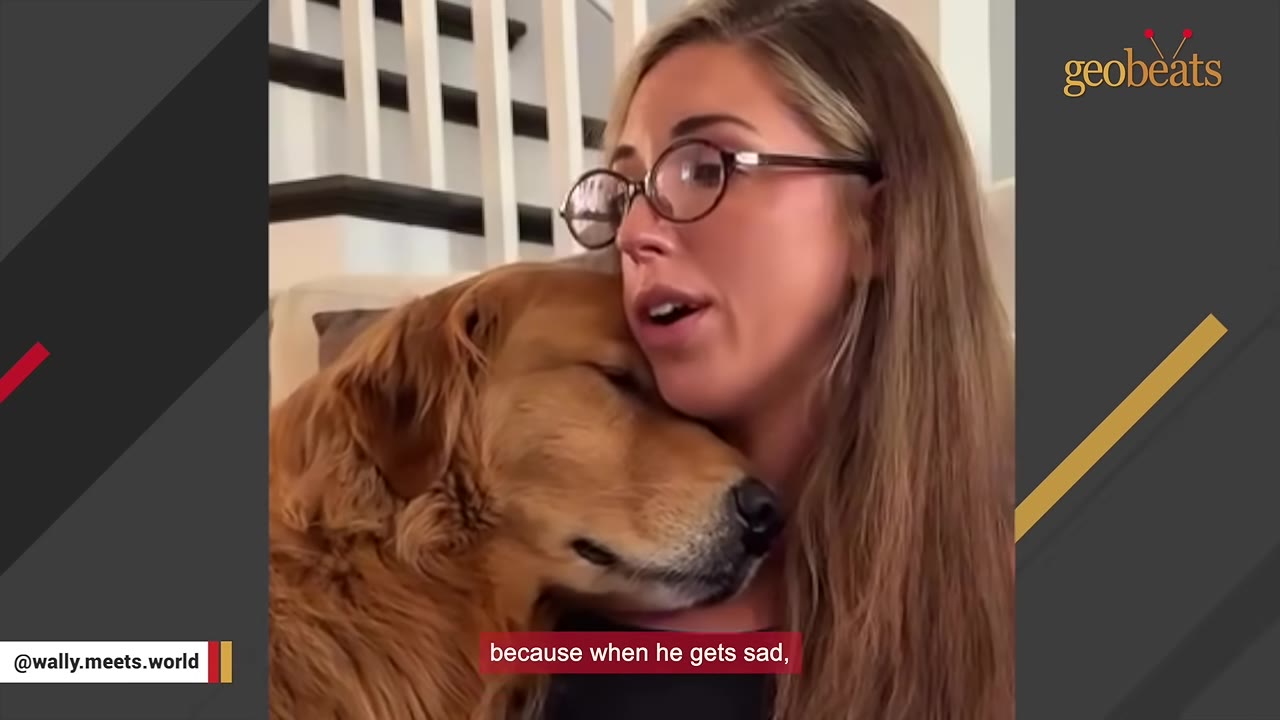 A woman with glasses hugs a golden retriever who rests his head gently against her cheek.