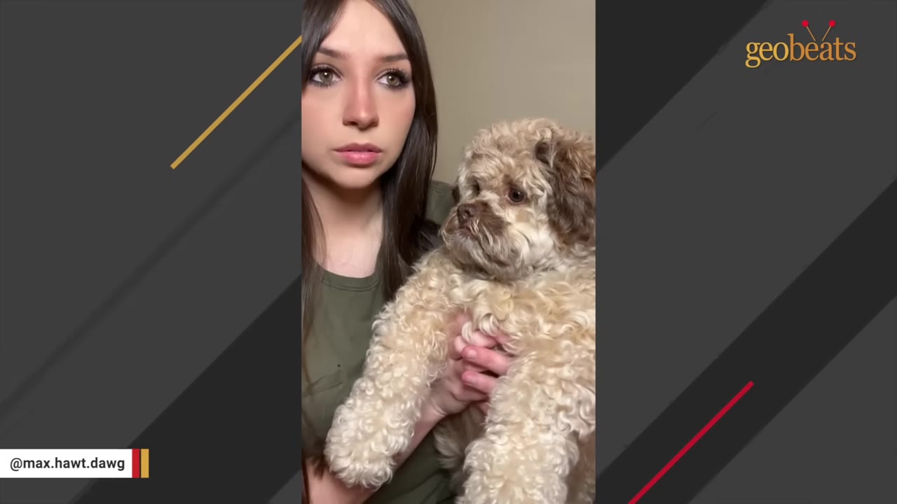 A young woman with long dark hair holds a small, fluffy, light brown and white dog in her arms.