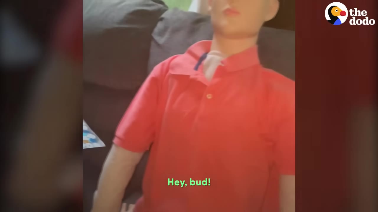 A male mannequin wearing a red polo shirt sits on a dark couch.