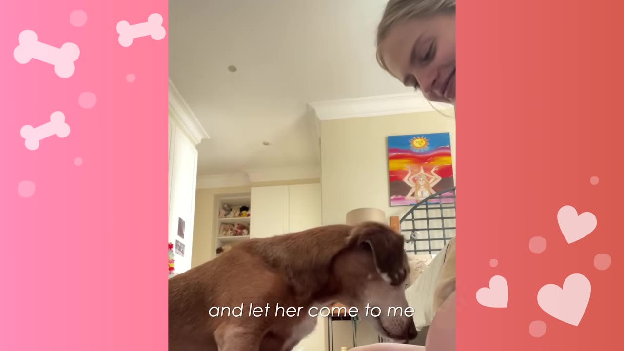 A woman looks down with a gentle smile at a brown dog who is standing cautiously in a living room, with the subtitle 'and let her come to me' on the screen.