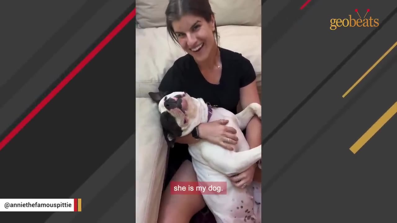 A smiling woman sitting on the floor, cradling a white and black dog in her lap.