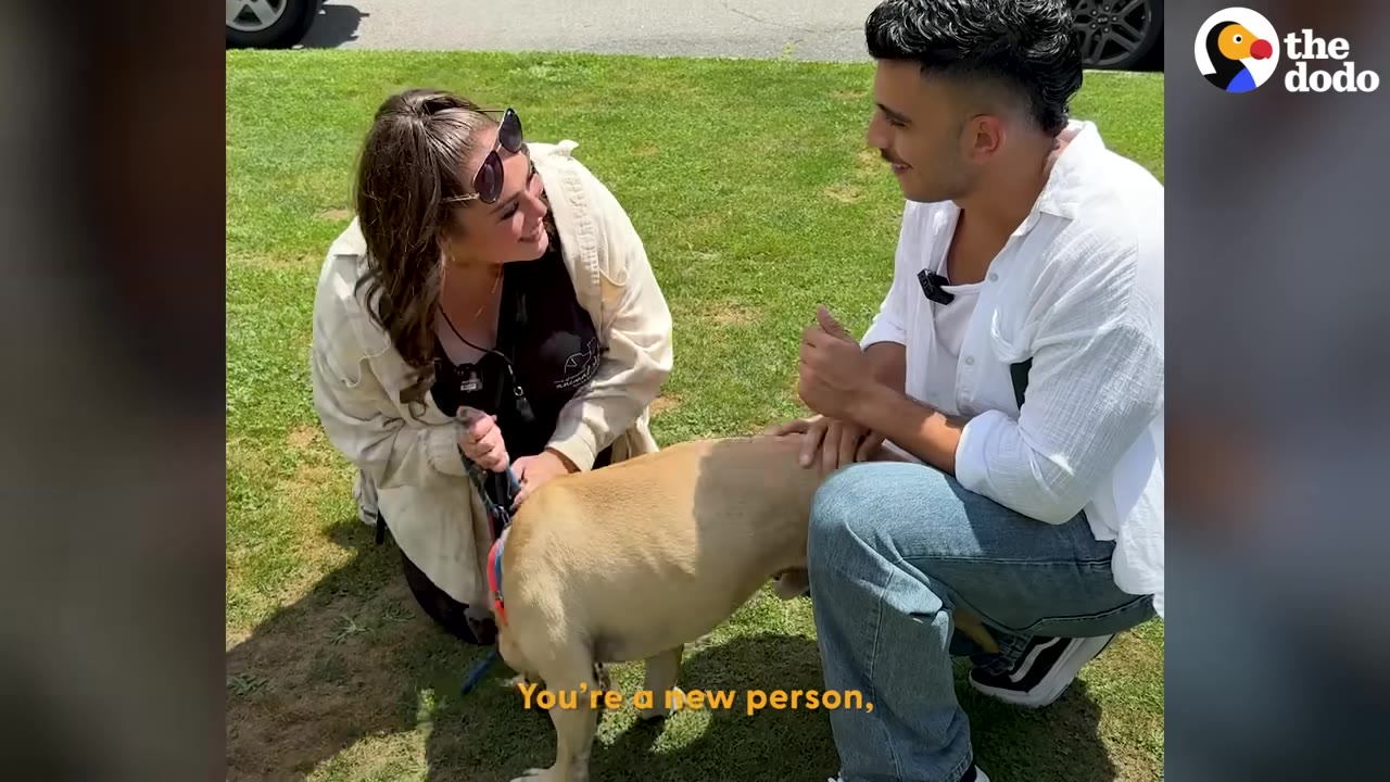 A woman wearing sunglasses on her head smiles warmly at a man crouching on a grassy lawn next to a tan dog.