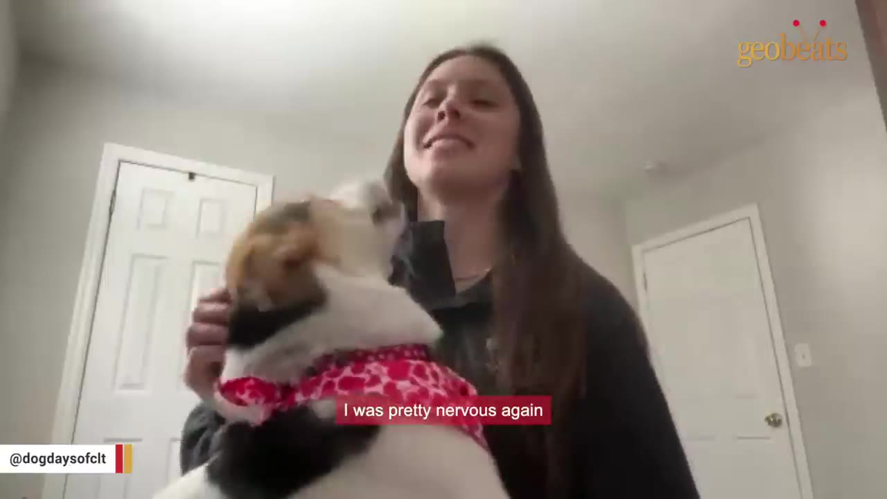 A woman with long brown hair smiles while holding a beagle wearing a pink patterned bandana, with a caption reading 'I was pretty nervous again'.