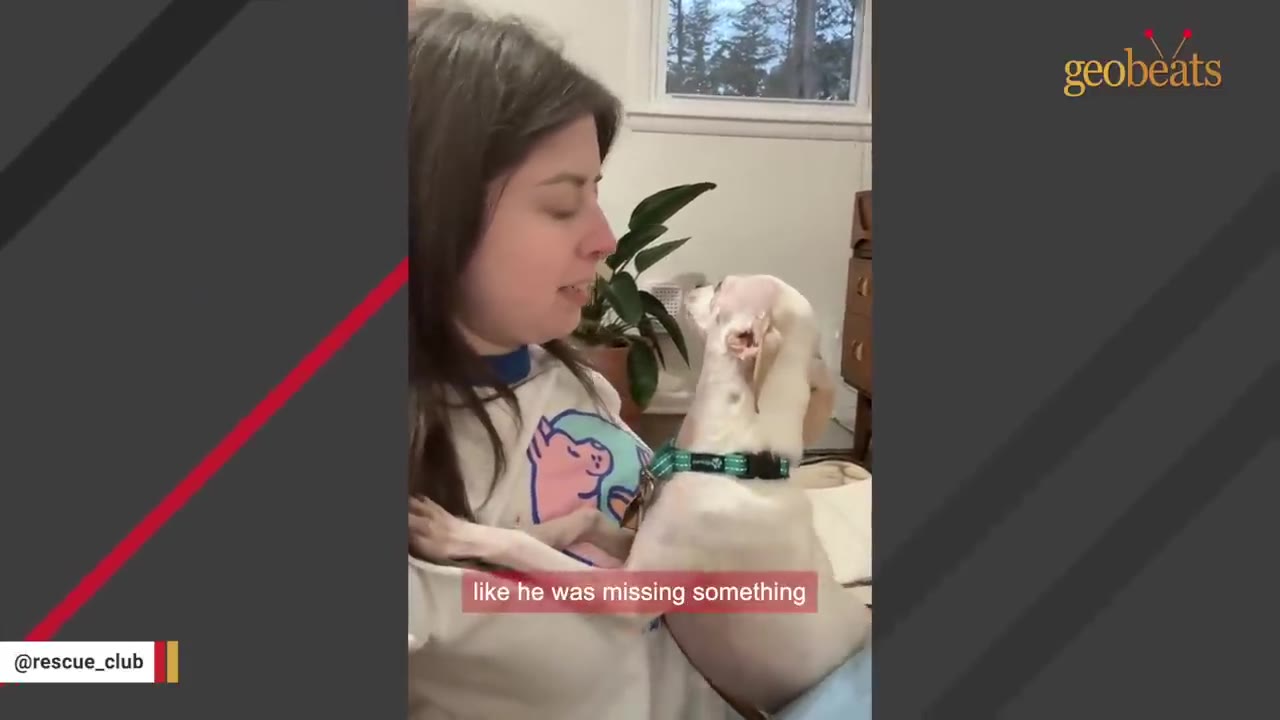 A woman holding a small white dog close to her chest as it looks up at her, with a subtitle reading 'like he was missing something'.