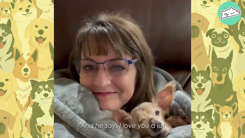 Video frame for Seeking Constant Comfort