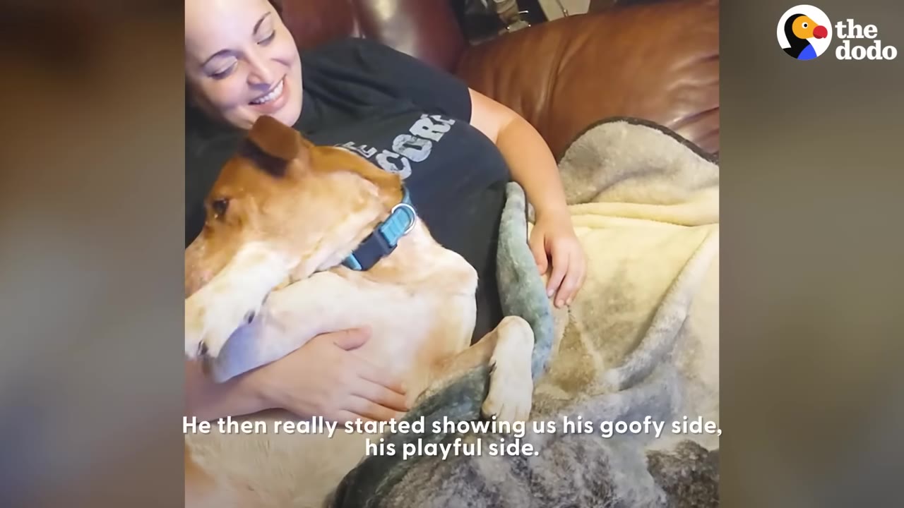 A smiling woman cuddles a tan and white dog wearing a blue collar on a leather couch under a blanket.