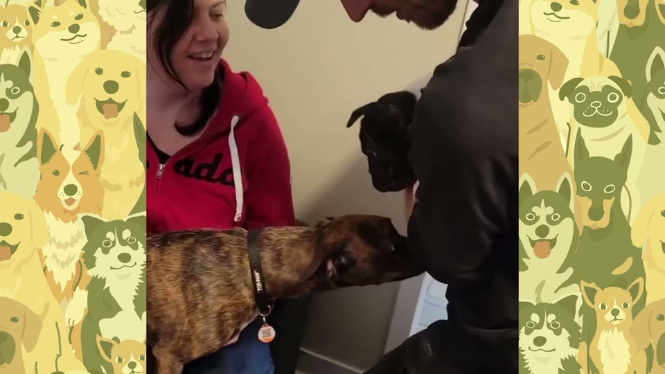 Video frame for Terrified Of The World