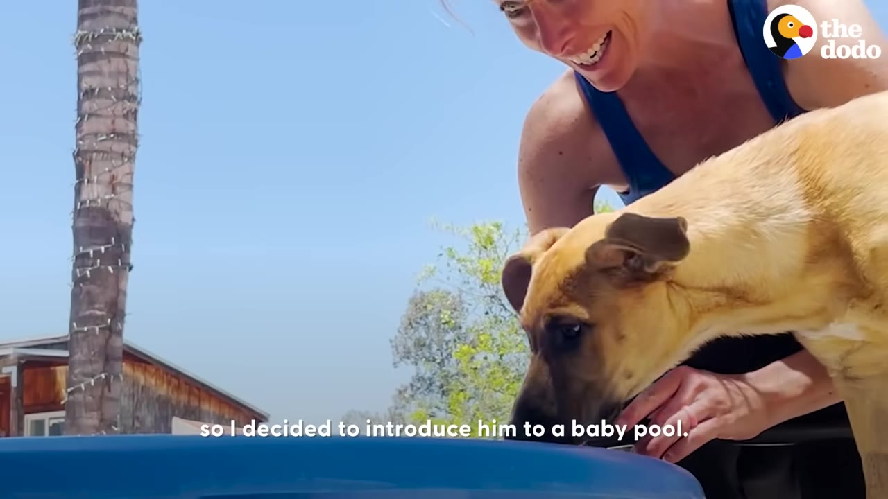 A woman smiles as she holds a light brown dog next to a blue plastic baby pool outdoors.