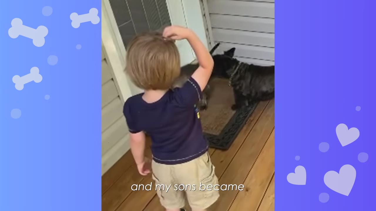 A young boy with blonde hair, seen from behind, stands on a wooden deck looking at two small dark-colored dogs near a doorway.