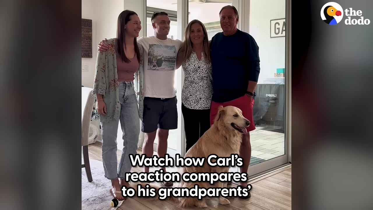 A family of four stands together smiling for a photo indoors, with a golden retriever sitting in front of them.