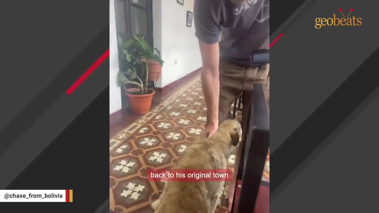 A man standing on a patterned tile floor pets a light brown dog in a hallway.