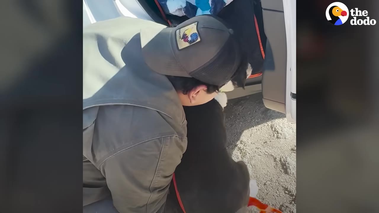 A person wearing a grey cap and jacket leans down to hug a black and white dog next to an open car door.