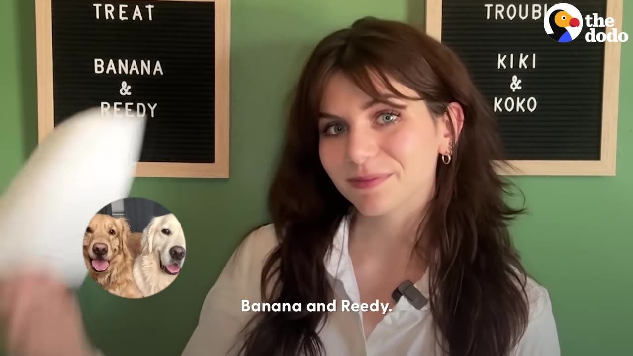 A woman with brown hair stands in front of a green wall with letter boards, next to a circular inset photo of two golden retrievers.