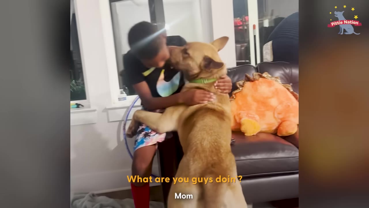 A tan dog stands on its hind legs to hug a young boy sitting on a leather couch.