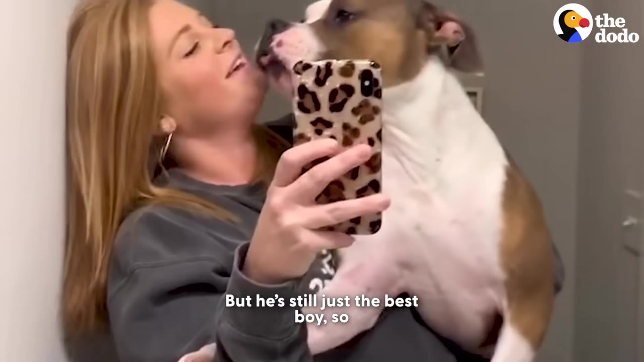 A smiling woman with long blonde hair holds a brown and white dog in her arms while taking a selfie with her phone, as the dog licks her cheek.