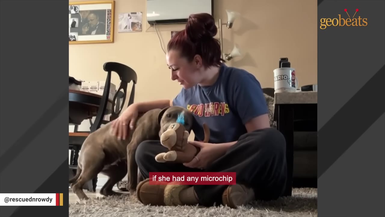 A woman sits cross-legged on a rug, petting a brown dog that is resting its head on her lap next to a stuffed monkey toy.