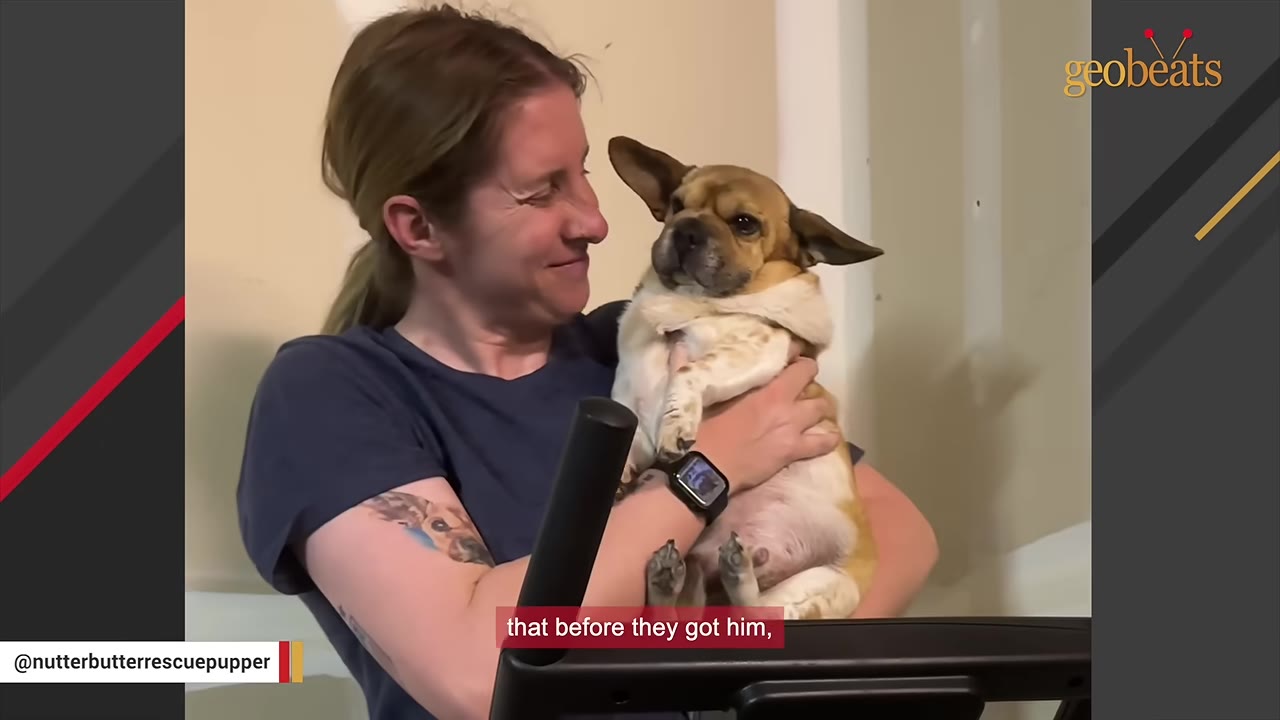 A woman with a tattoo on her arm smiles warmly as she cradles a small, light-brown dog with large ears in her arms.