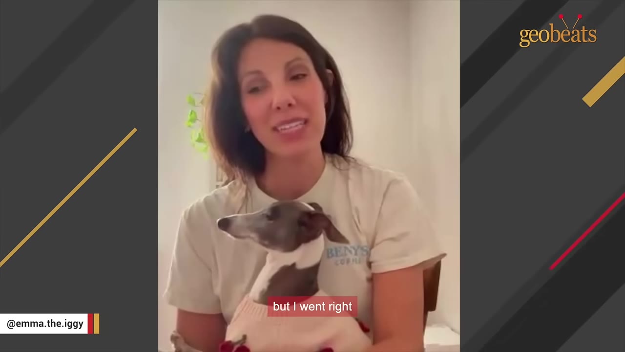 A woman with dark hair wearing a white t-shirt holds a small grey and white Italian Greyhound wearing a pink sweater.