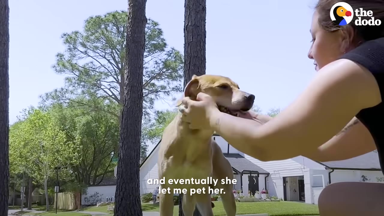 A woman gently cups the face of a light brown dog outdoors, who stands calmly as she pets her.
