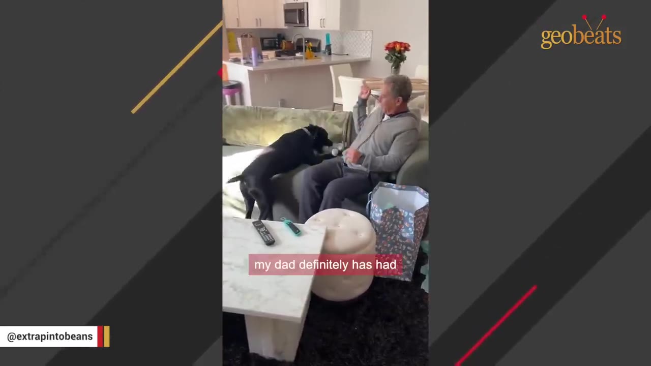 A man sitting on a couch raises his hand defensively as a black dog approaches him in a living room.