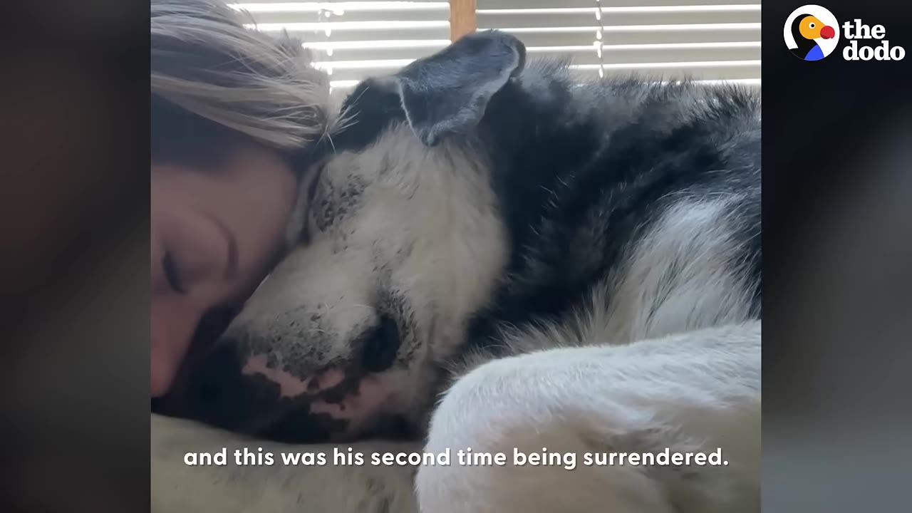 A close-up shot of a woman resting her forehead against the head of a sleeping black and white dog.