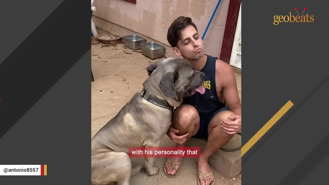 A large, light-colored dog sits on the ground next to a man sitting on concrete steps outdoors.