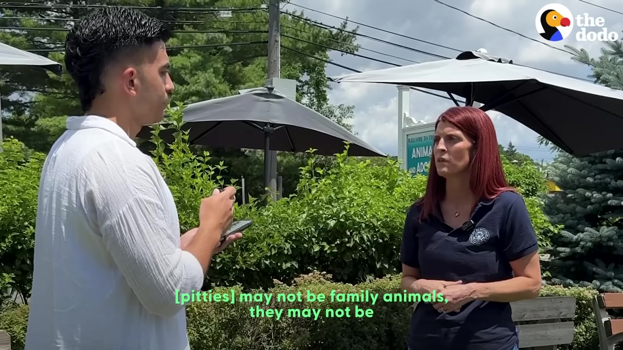 A man in a white shirt interviews a red-haired woman wearing a dark polo shirt outdoors, with a subtitle reading '[pitties] may not be family animals, they may not be'.